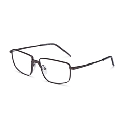 ALL POETS - BAUDEL 56O GM          