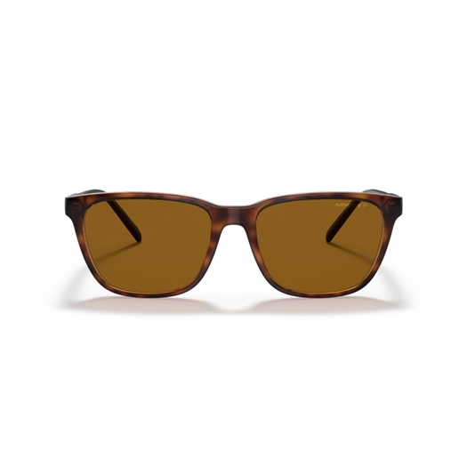 ARNETTE AN4291 - 277083 CORTEX