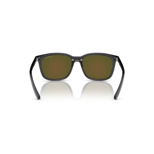 ARNETTE AN4316 - 278655 C'ROLL