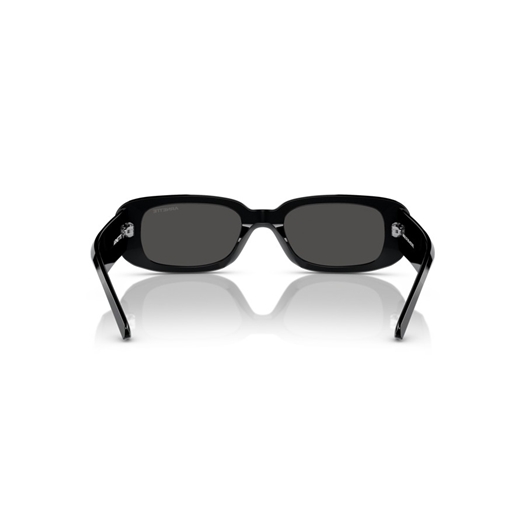 ARNETTE AN4317 - 121487 LITTY