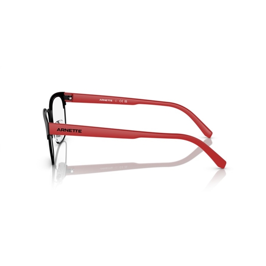 ARNETTE AN6138 - 737 WATERLY