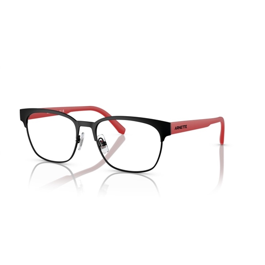 ARNETTE AN6138 - 737 WATERLY