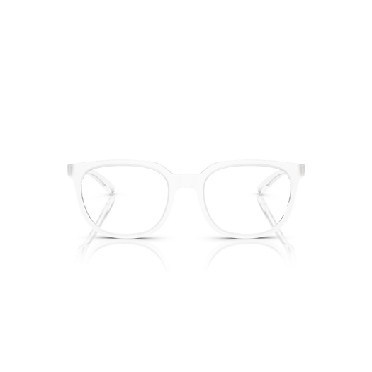 ARNETTE AN7263 - 2761 LINES