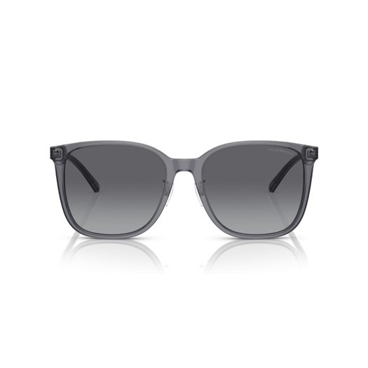 EMPORIO ARMANI EA4206D - 5029T3