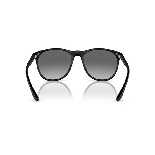 EMPORIO ARMANI EA4210 - 500111
