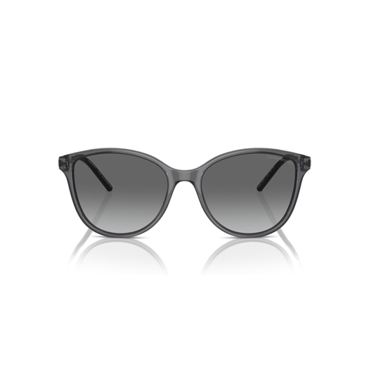 EMPORIO ARMANI EA4220 - 610611