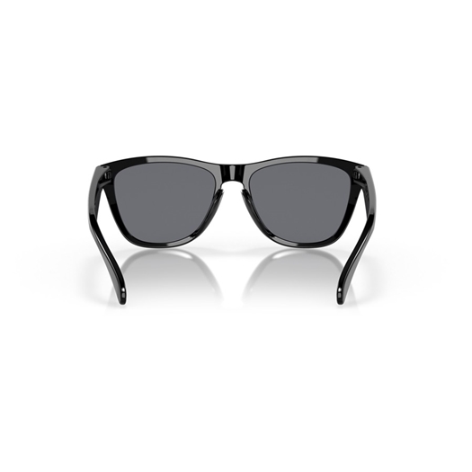 OAKLEY OO9013 - 24-306 FROGSKINS