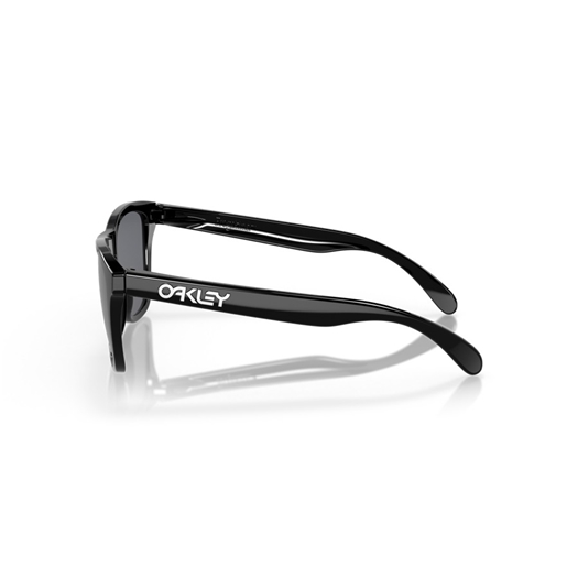 OAKLEY OO9013 - 24-306 FROGSKINS