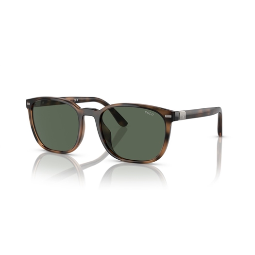 POLO PH4208U - 597471