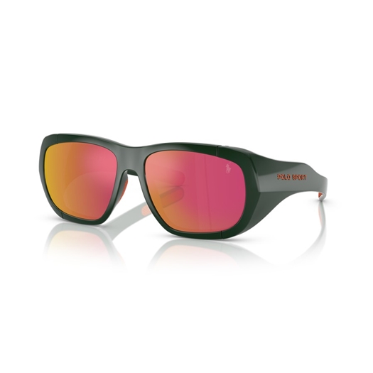 POLO PH4219U - 55966Q