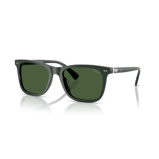 POLO PH4220U - 614071
