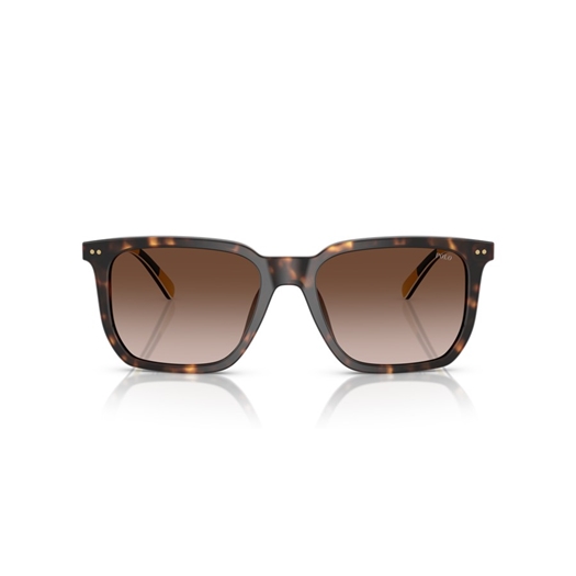 POLO PH4224U - 500313
