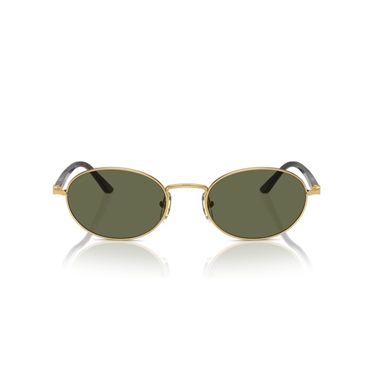 PERSOL 0PO1018S - 515/58 IDA