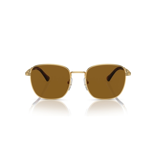 PERSOL PO2497S - 114233