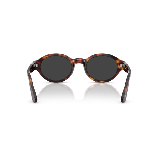 PERSOL 0PO3378S - 24/48 LORIS
