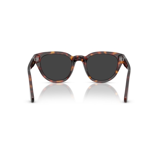 PERSOL 0PO3379S - 24/48