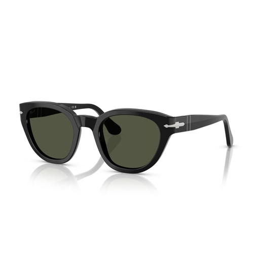 PERSOL 0PO3379S - 95/31