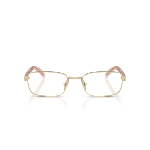 PRADA PR B54V - ACX1O1