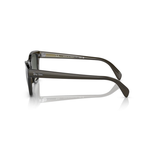 RAY-BAN RB0707S - 664271
