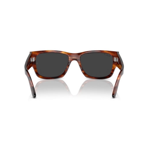 RAY-BAN RB0947S - 954/48 CARLOS
