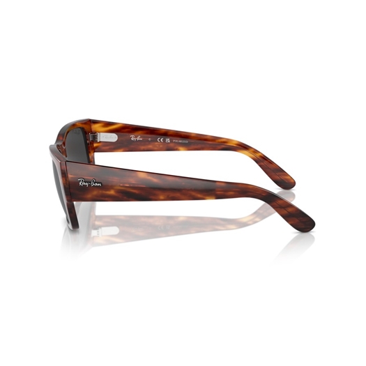 RAY-BAN RB0947S - 954/48 CARLOS