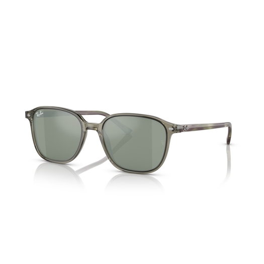 RAY-BAN RB2193 - 66355C LEONARD
