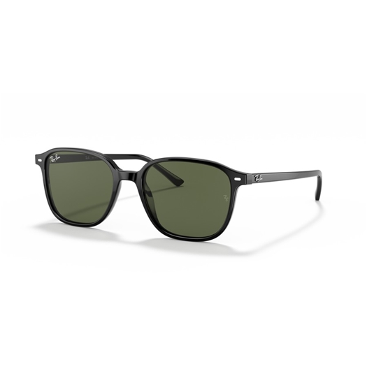 RAY-BAN RB2193 - 901/31 LEONARD