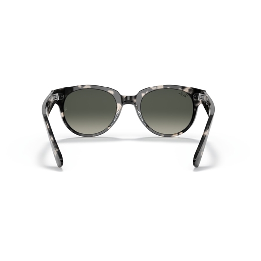 RAY-BAN RB2199 - 133371 ORION