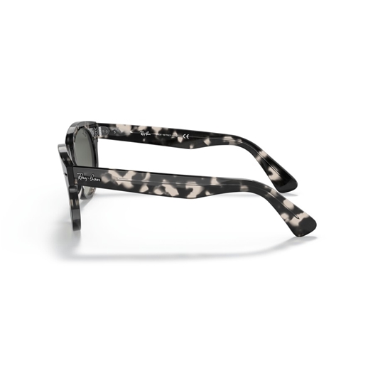 RAY-BAN RB2199 - 133371 ORION