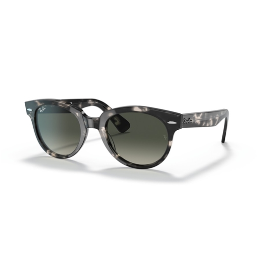 RAY-BAN RB2199 - 133371 ORION