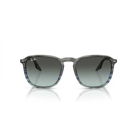 RAY-BAN RB2203 - 1391GK