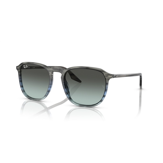 RAY-BAN RB2203 - 1391GK