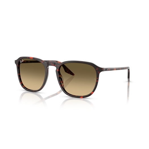 RAY-BAN RB2203 - 14290A