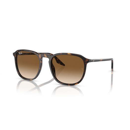 RAY-BAN RB2203 - 902/51