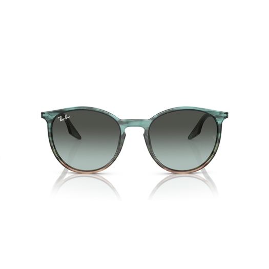 RAY-BAN RB2204 - 1394GK