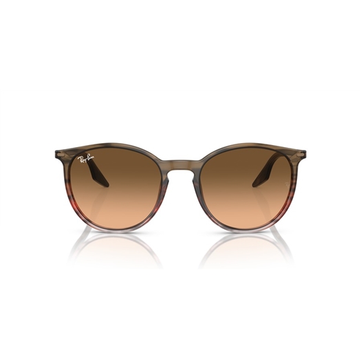RAY-BAN RB2204 - 13953B