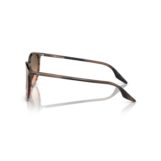 RAY-BAN RB2204 - 13953B