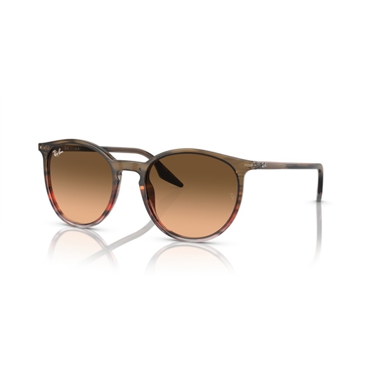 RAY-BAN RB2204 - 13953B