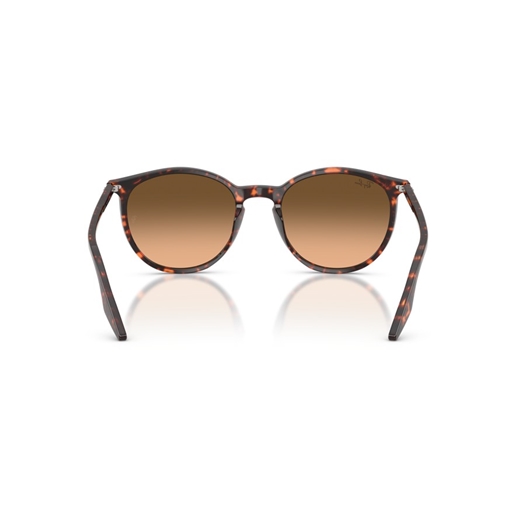 RAY-BAN RB2204 - 14293B