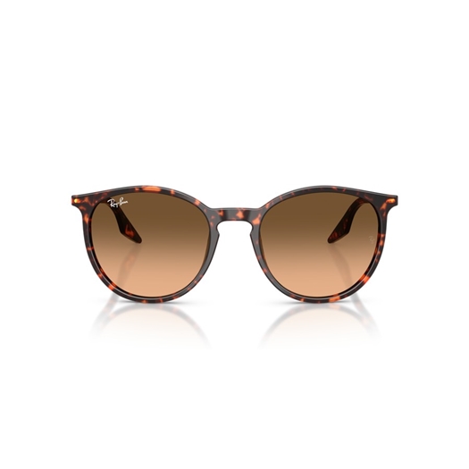 RAY-BAN RB2204 - 14293B