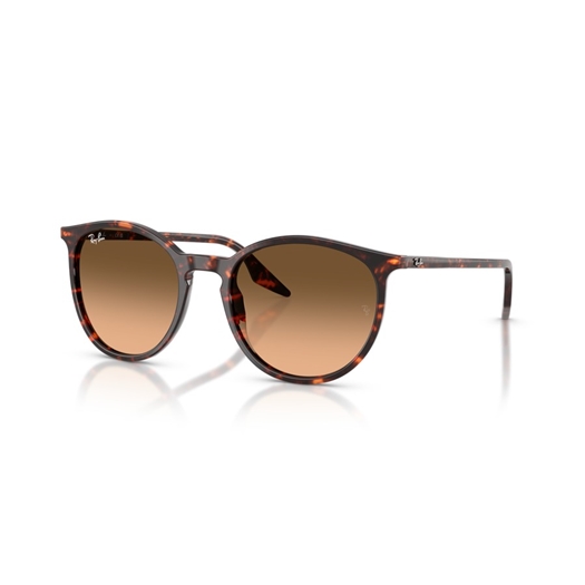 RAY-BAN RB2204 - 14293B
