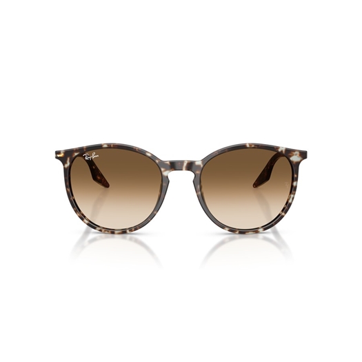 RAY-BAN RB2204 - 143151