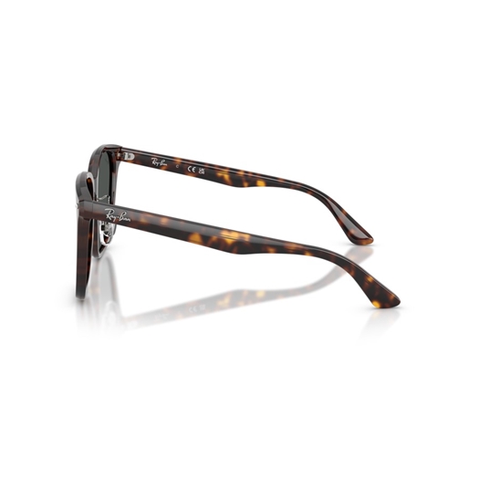 RAY-BAN RB2206D - 710/87