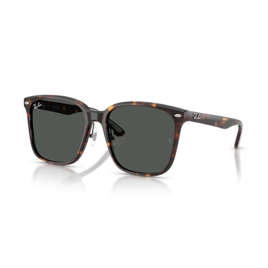 RAY-BAN RB2206D - 710/87