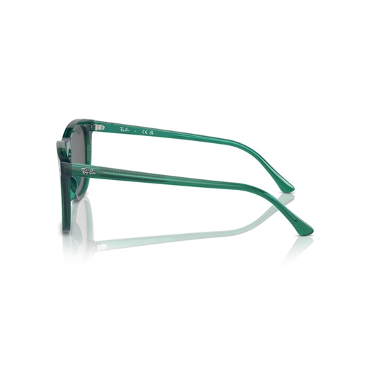 RAY-BAN RB2210 - 6615B1
