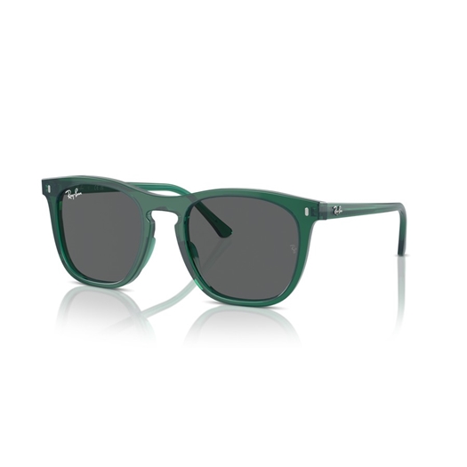 RAY-BAN RB2210 - 6615B1