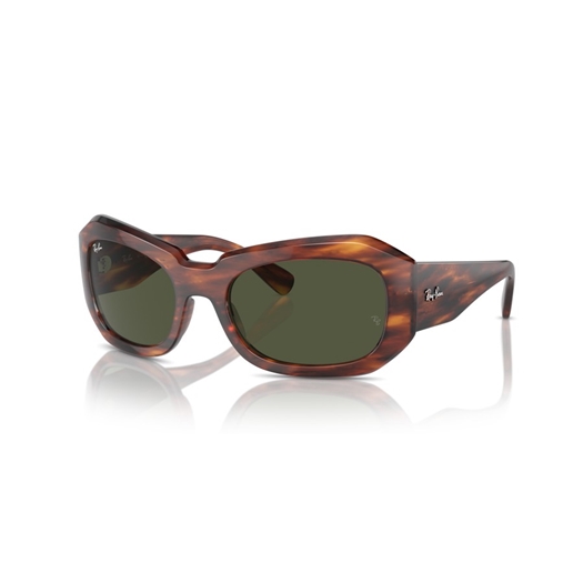 RAY-BAN RB2212 - 954/31 BEATE