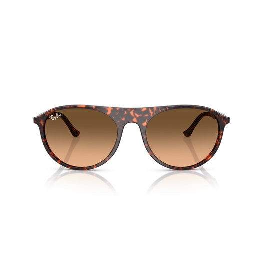 RAY-BAN RB2215 - 14293B