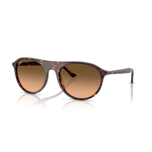 RAY-BAN RB2215 - 14293B