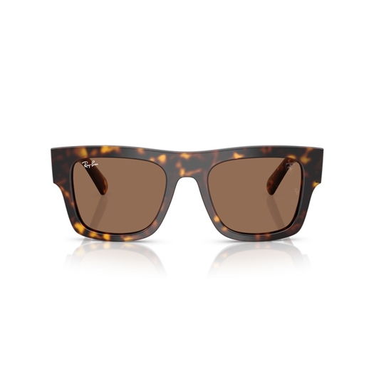RAY-BAN RB2217M - F61373
